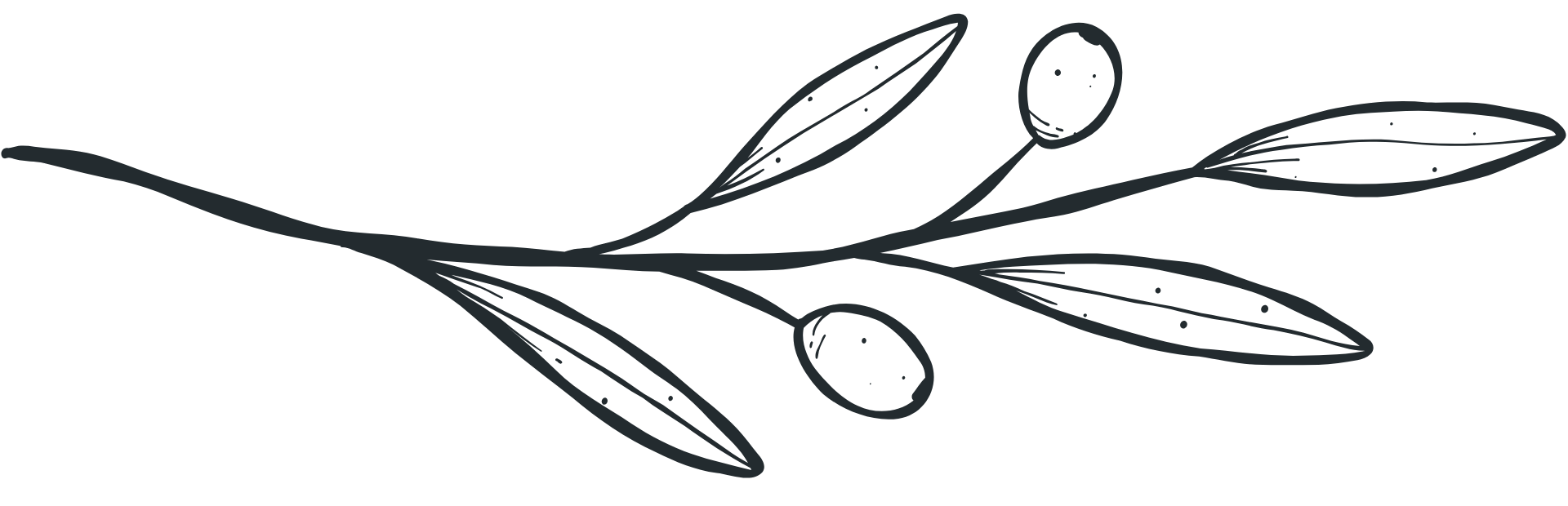 Zeytin Dalı